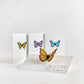 Butterfly Notecards (Assorted 4-Pack)