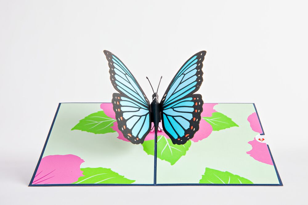 Tulip & Blue Morpho Butterfly Bundle