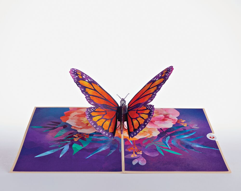 Wildflower & Monarch Butterfly Bundle