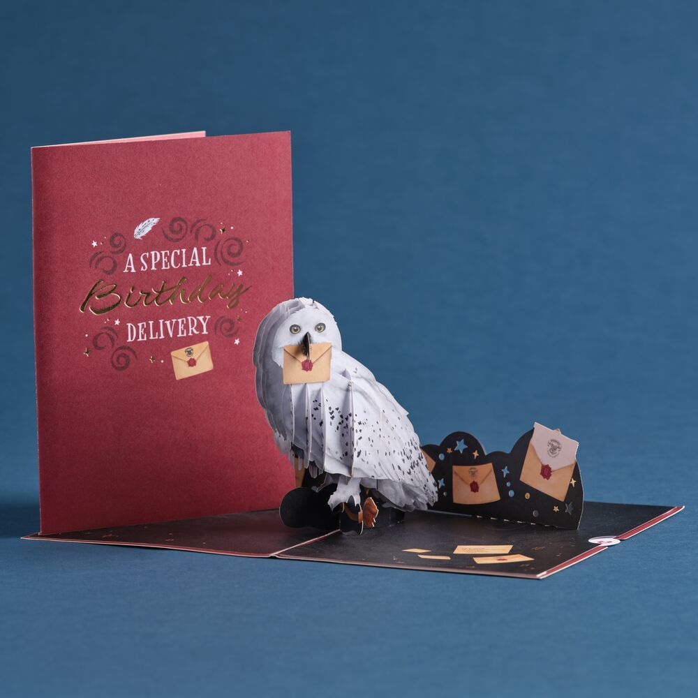 Harry Potter Hedwig™ Birthday Delivery Pop-Up Card