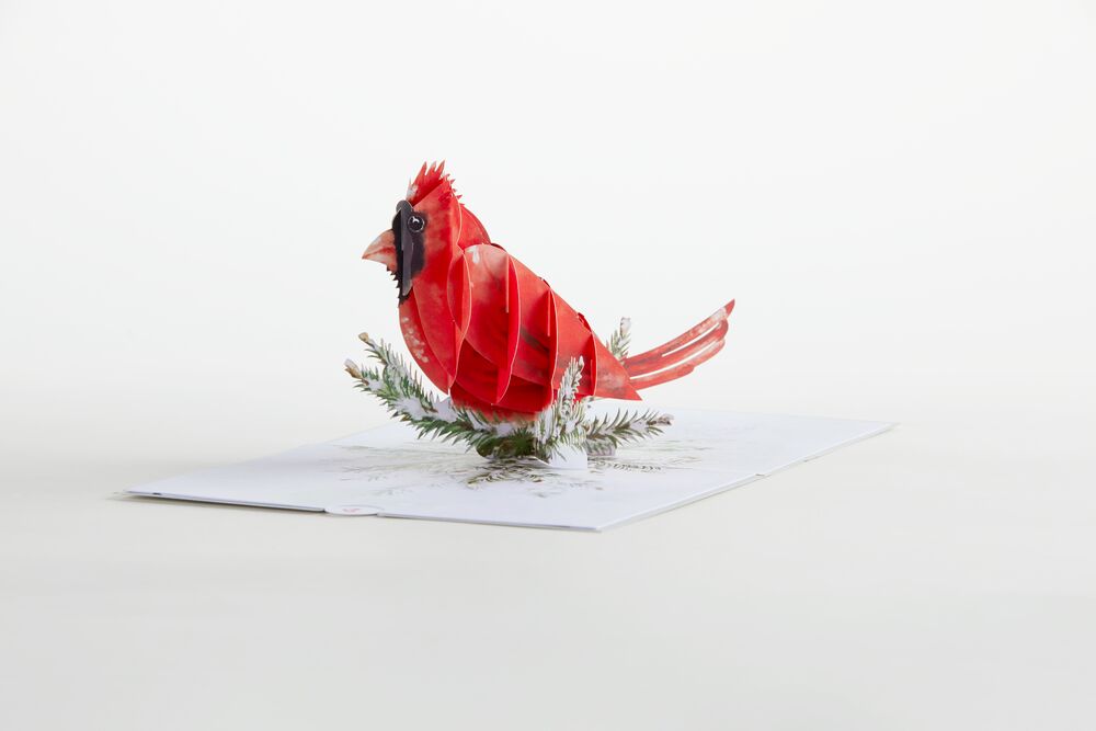 Winter Cardinal Pop-Up Card