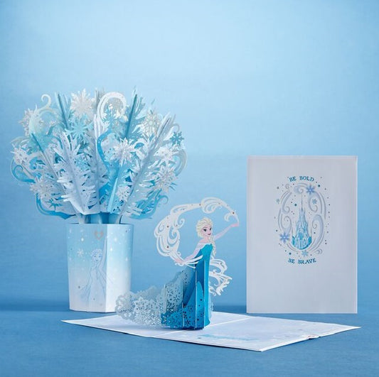 Disney Frozen Birthday Bundle