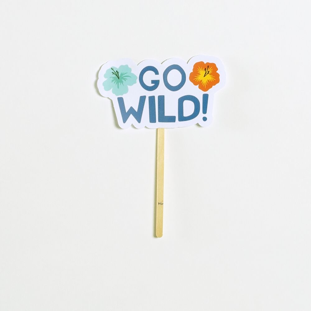 Party Animals Birthday Party Kit