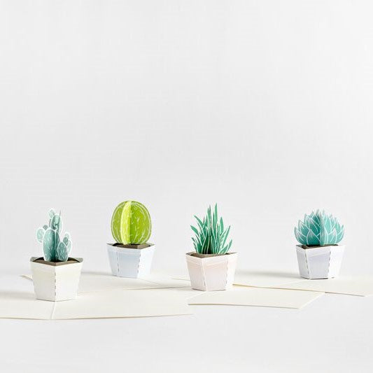 Succulent Notecards (Assorted 4-Pack)