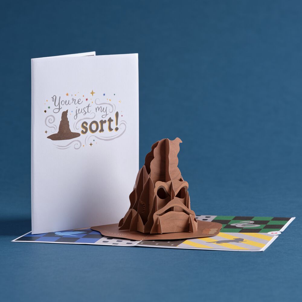 Harry Potter You're Just My Sort Pop-Up Card