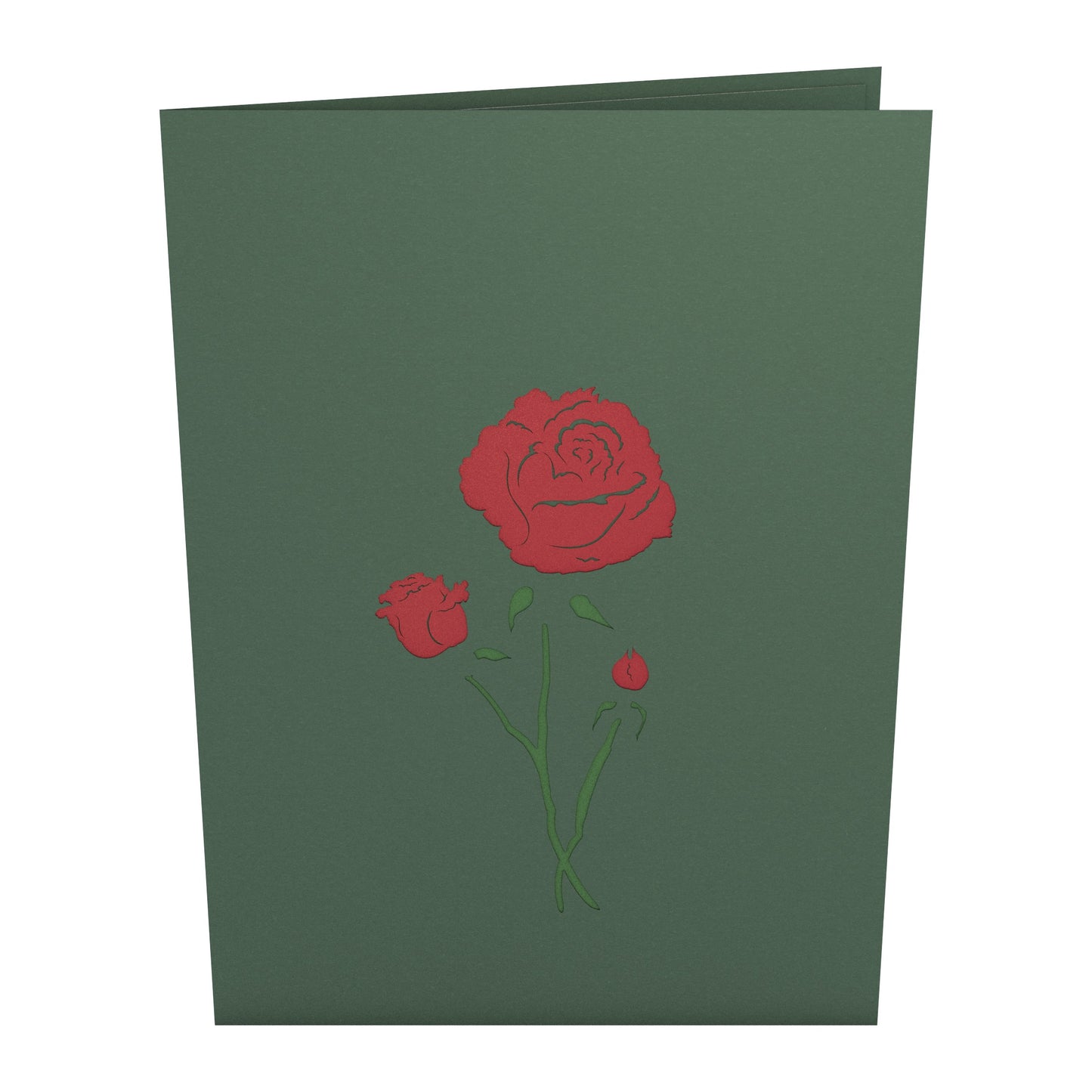 Red Rose Bloom Pop-Up Card