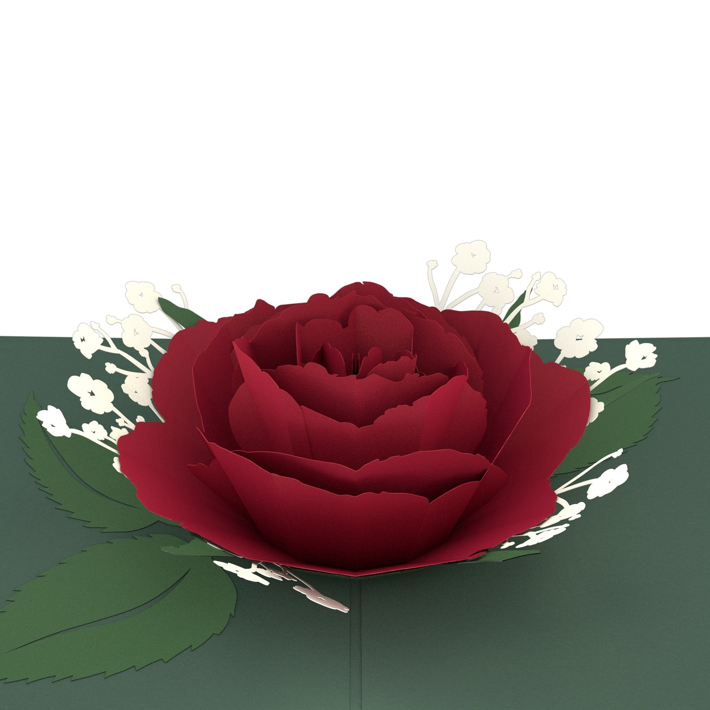 Red Rose Bloom Pop-Up Card