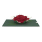 Red Rose Bloom Pop-Up Card