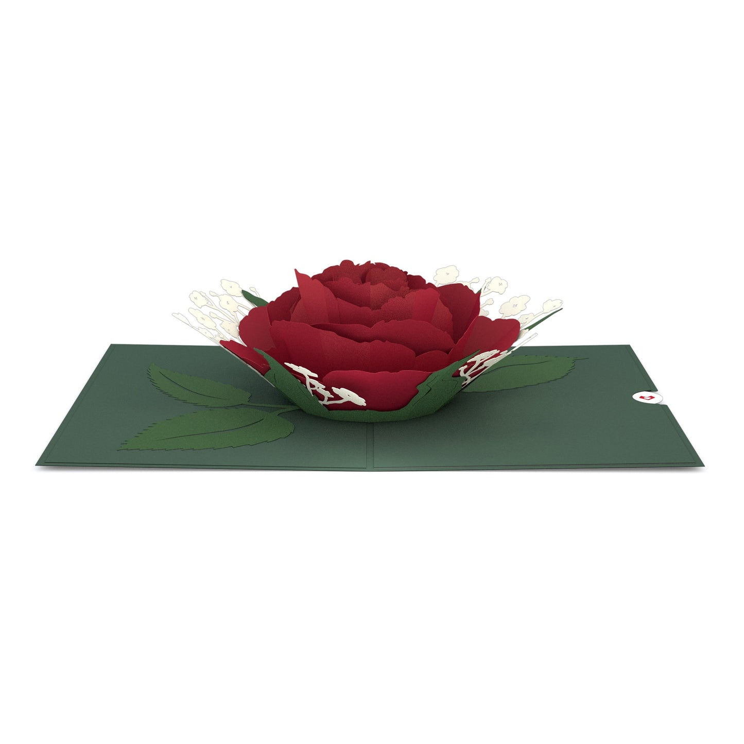 Red Rose Bloom Pop-Up Card