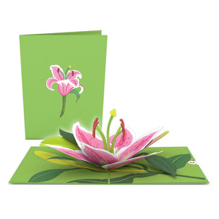Lily Bloom Pop-Up Card