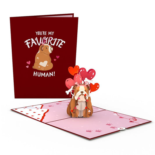 You’re My Favorite Human Bulldog Pop-Up Card