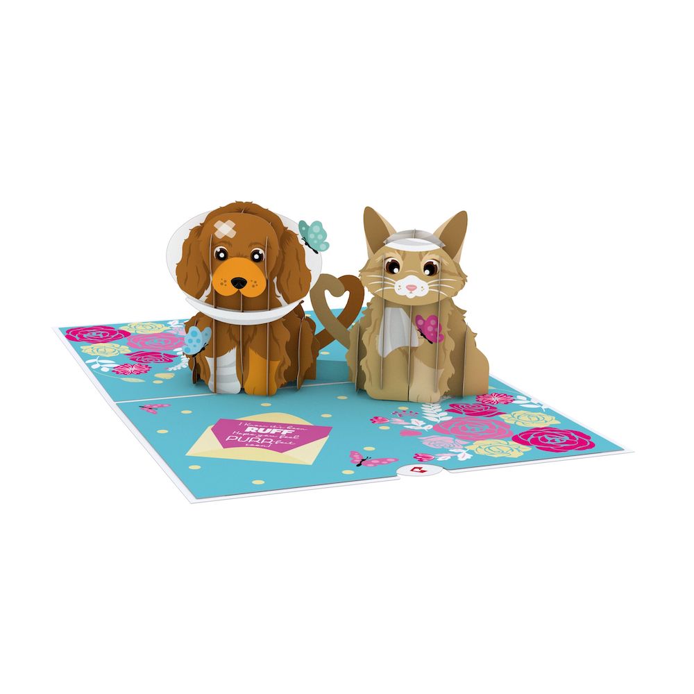 Get Well Soon Pets Pop-Up Card
