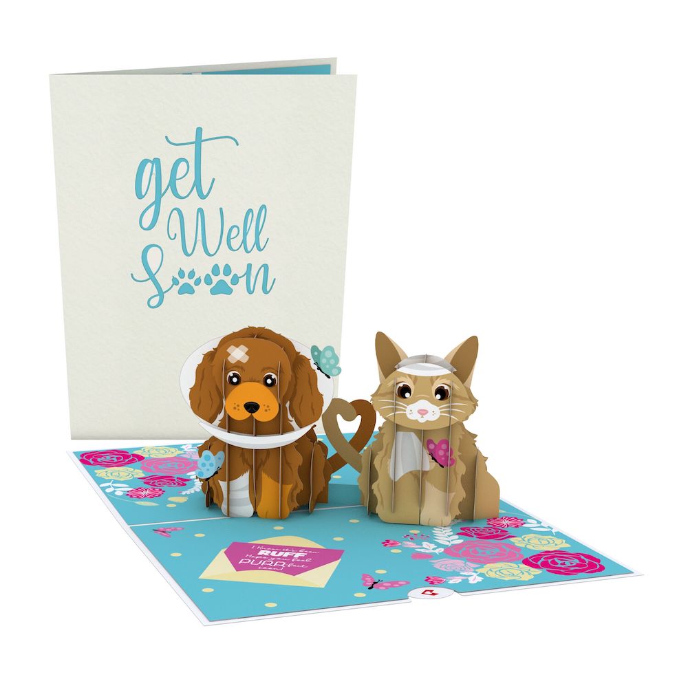 Get Well Soon Pets Pop-Up Card