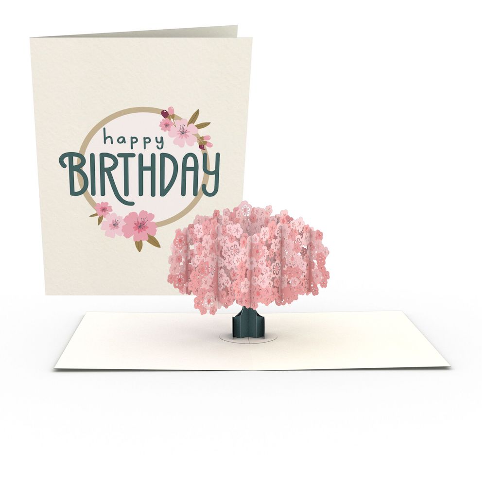 Birthday Garden Notecards (Assorted 4-Pack)