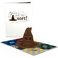 Harry Potter™ You're Just My Sort Pop-Up Card