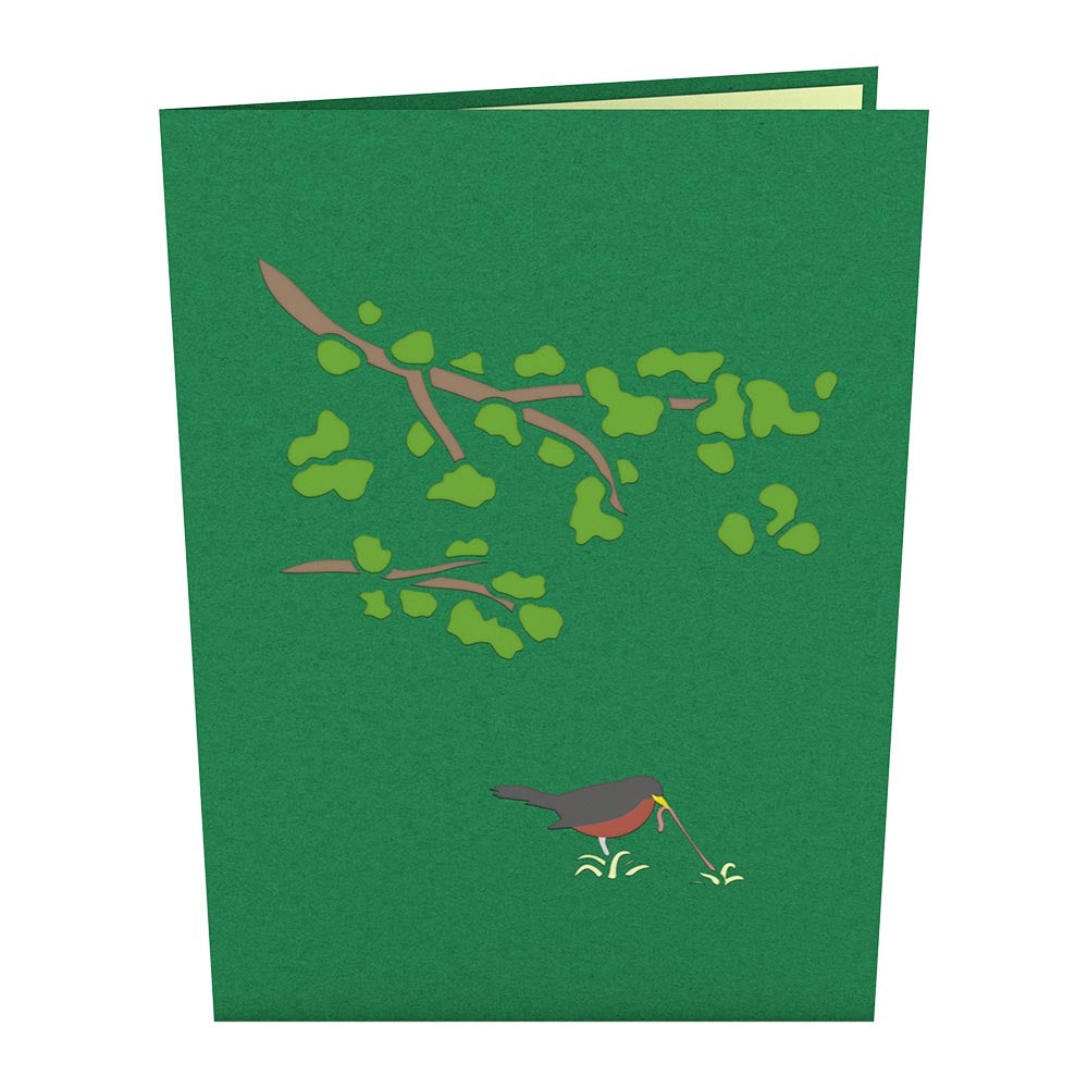 Robin Pop-Up Card