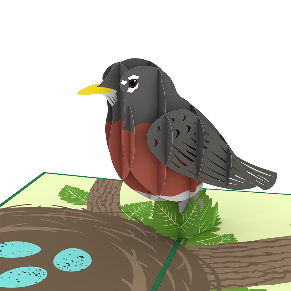 Robin Pop-Up Card