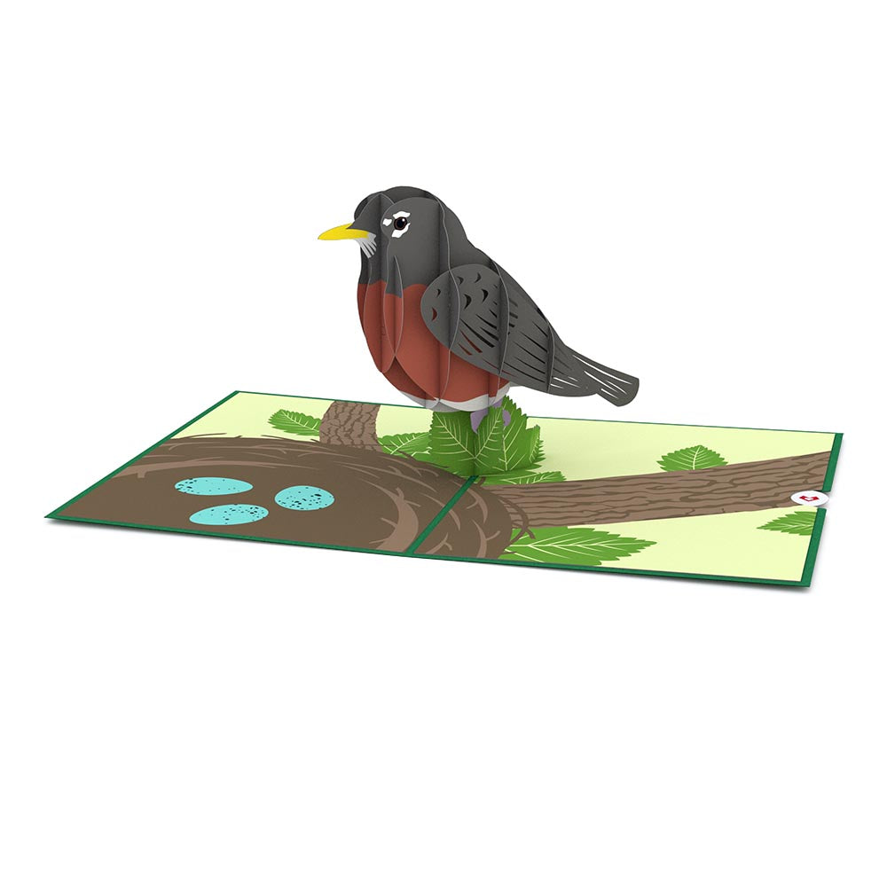 Robin Pop-Up Card