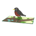 Robin Pop-Up Card