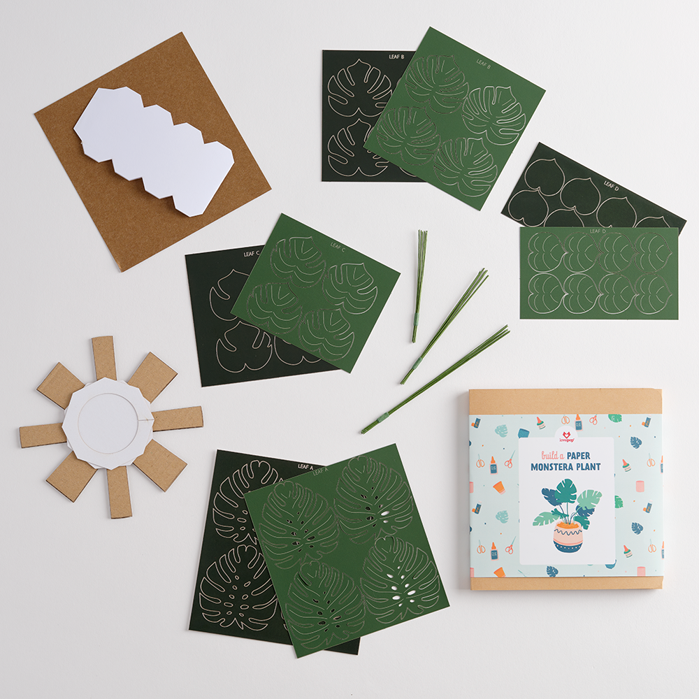 Paper Monstera Plant DIY Kit – Lovepop