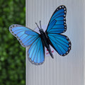 Stickerpop™: Blue Morpho Butterfly (5-Pack)
