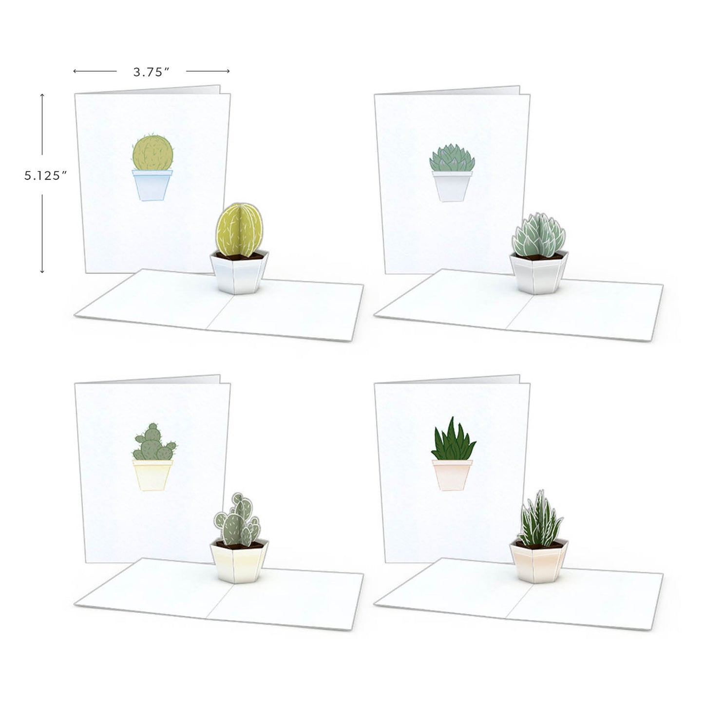 Succulent Notecards (Assorted 4-Pack)