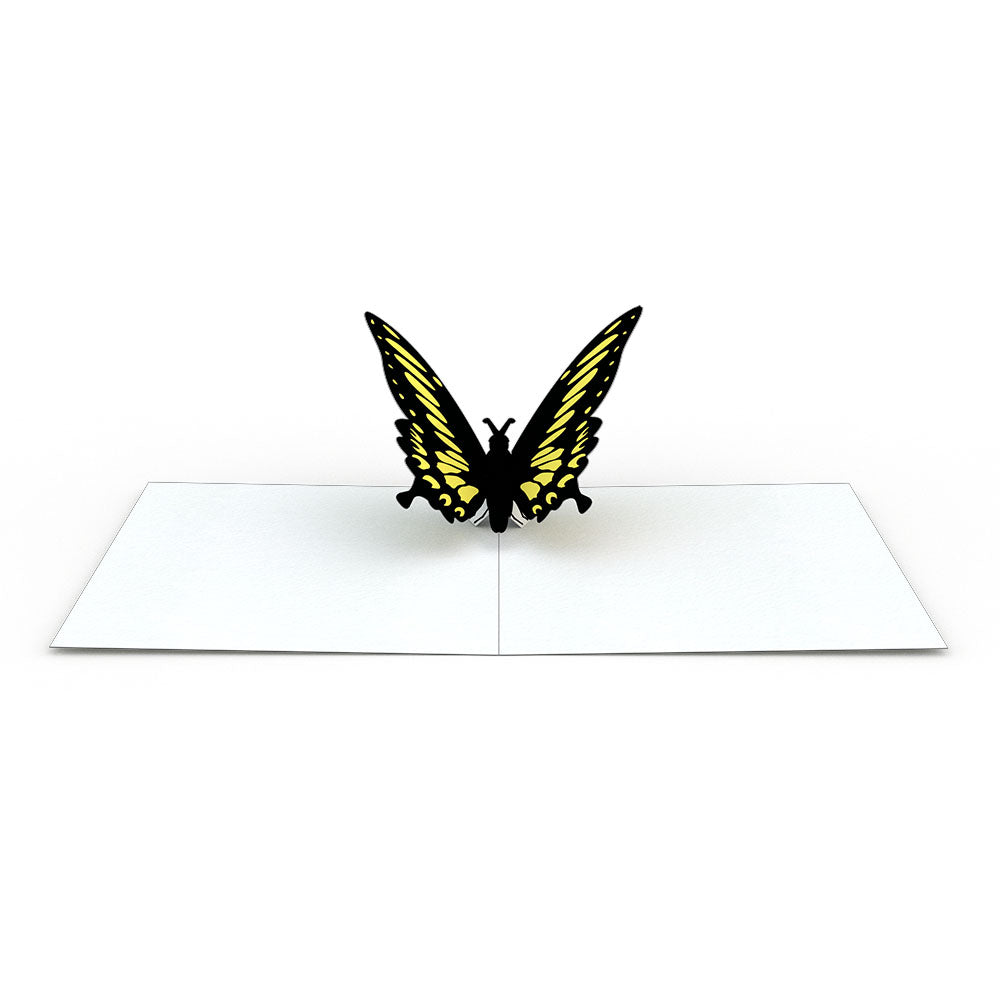 Butterfly Notecards (Assorted 4-Pack)