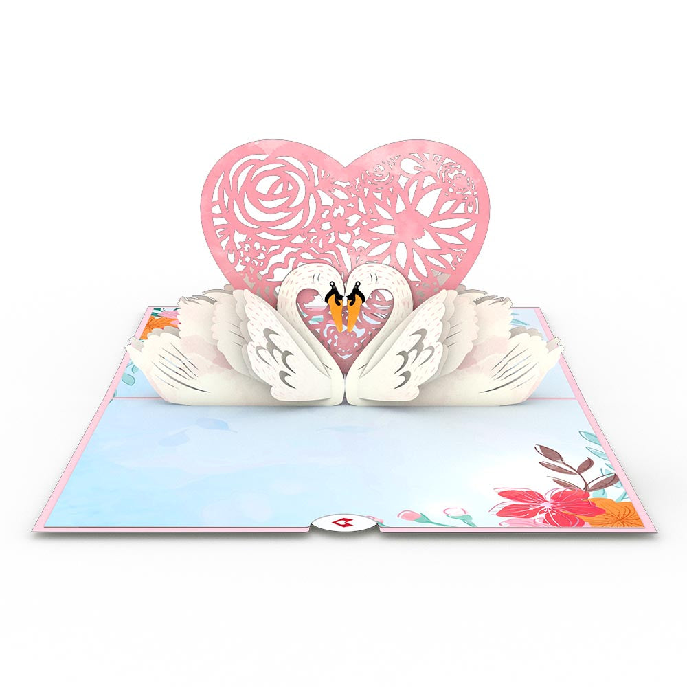 Swans Pop-Up Card