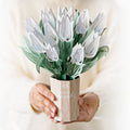 Sympathy Tree and Tulips Bundle