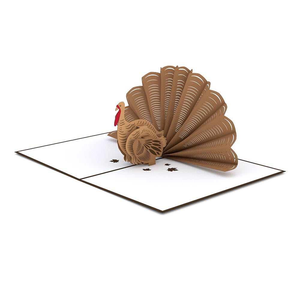 Thanksgiving Turkey Pop up Card