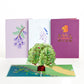 Trees of the Seasons 4-Pack