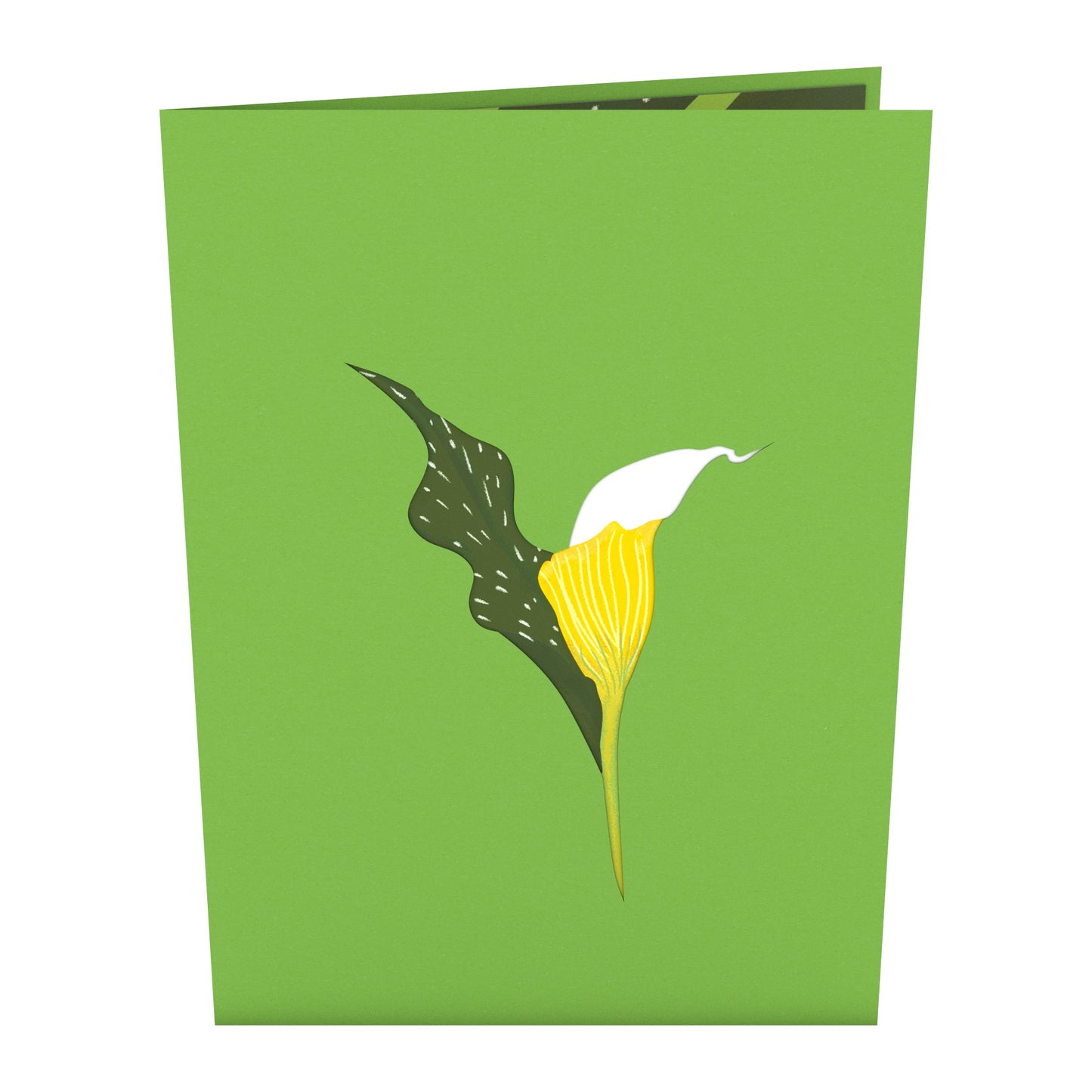 White Calla Lily Pop-Up Card