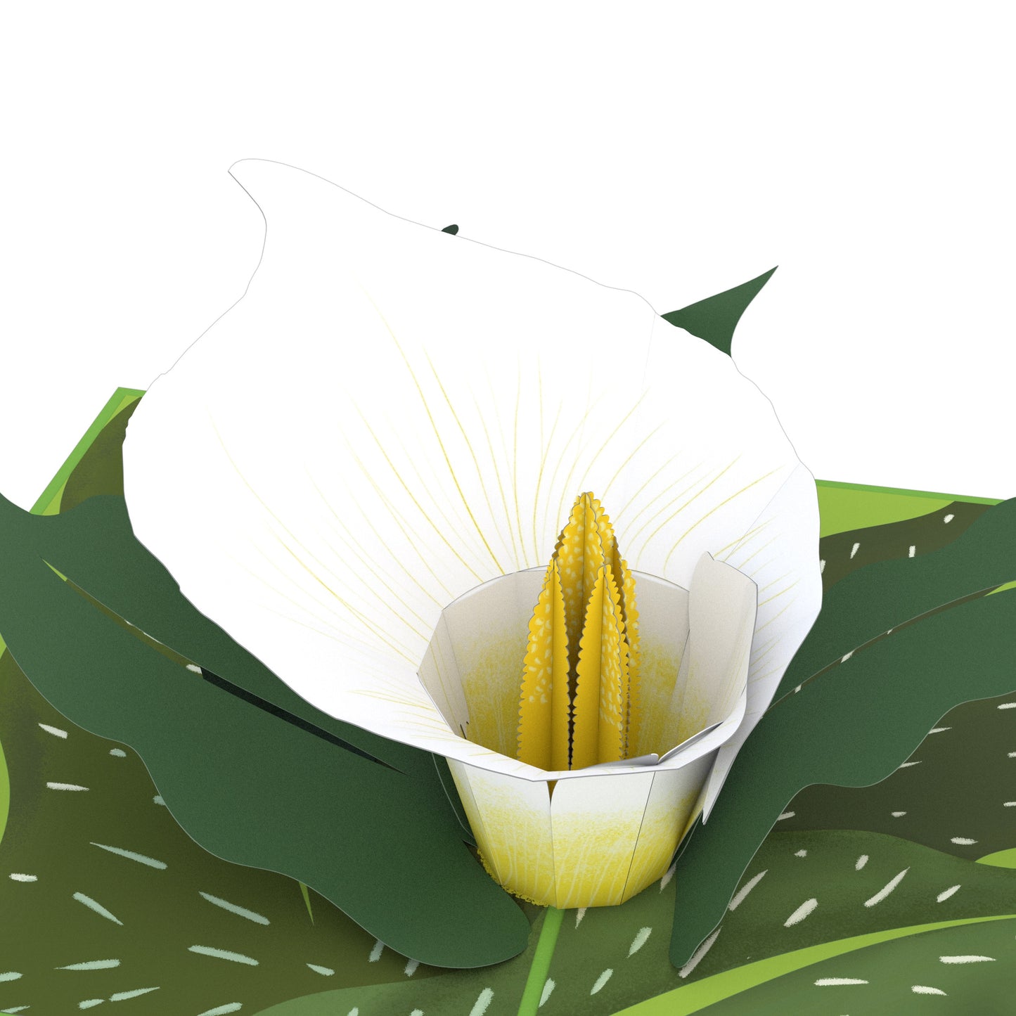 White Calla Lily Pop-Up Card